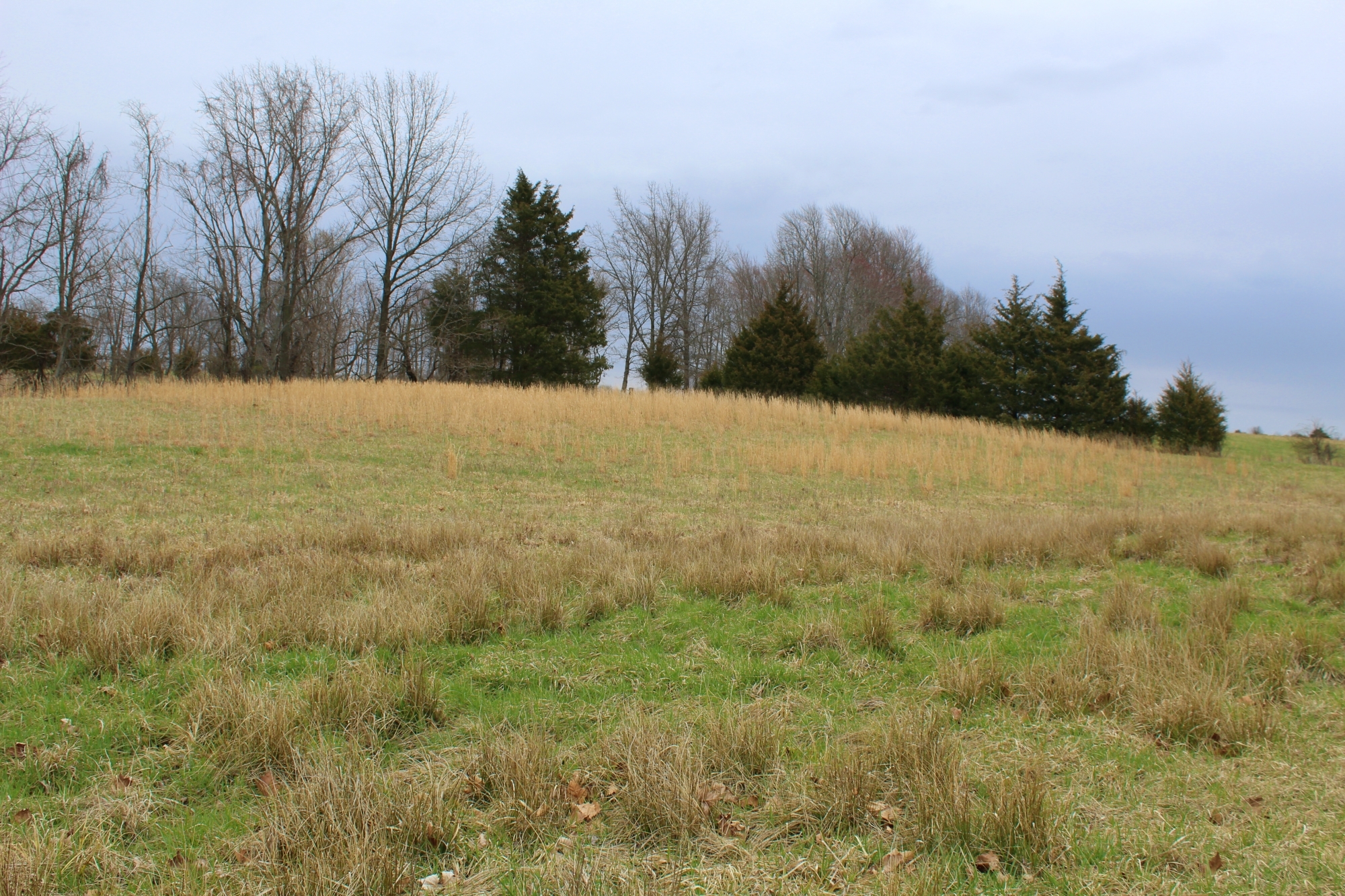 Land