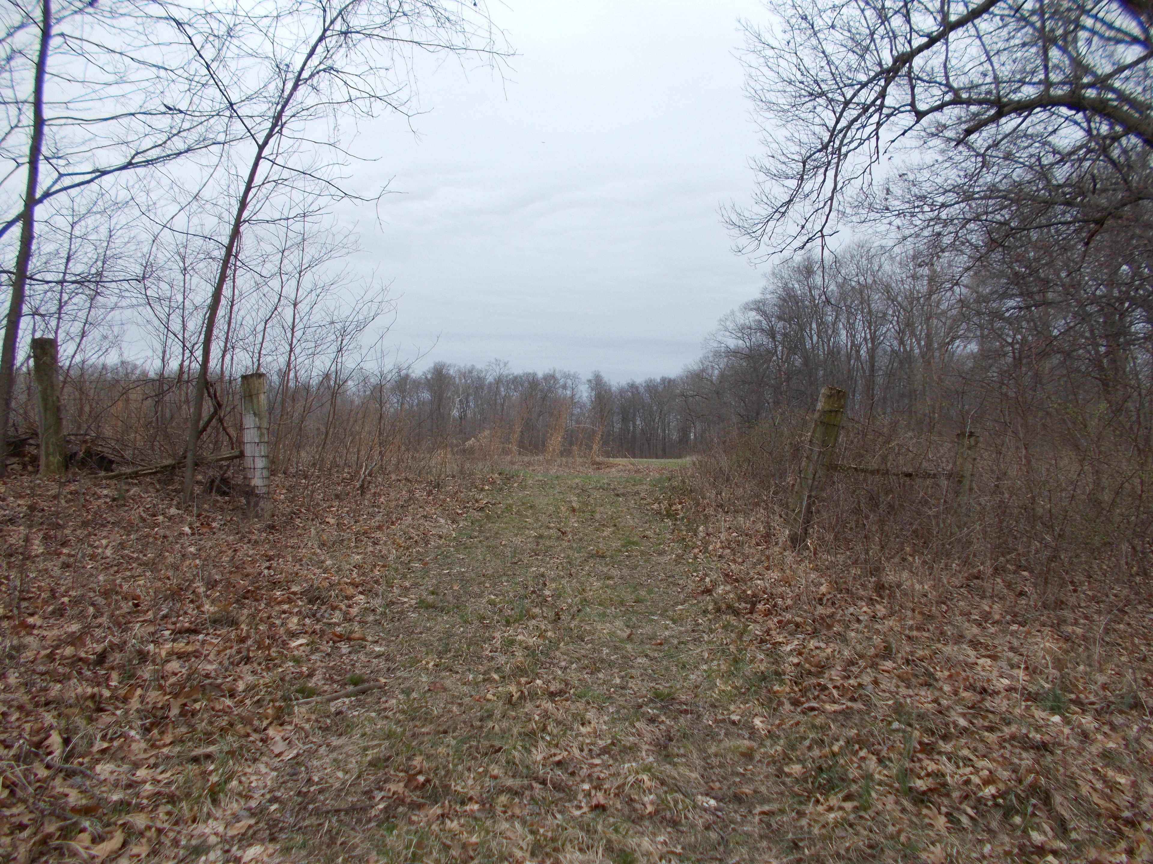 Land